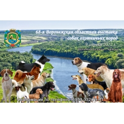 68-Я ВОРОНЕЖСКАЯ ОБЛАСТНАЯ ВЫСТАВКА ОХОТНИЧЬИХ СОБАК