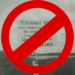 Внимание охотники!
